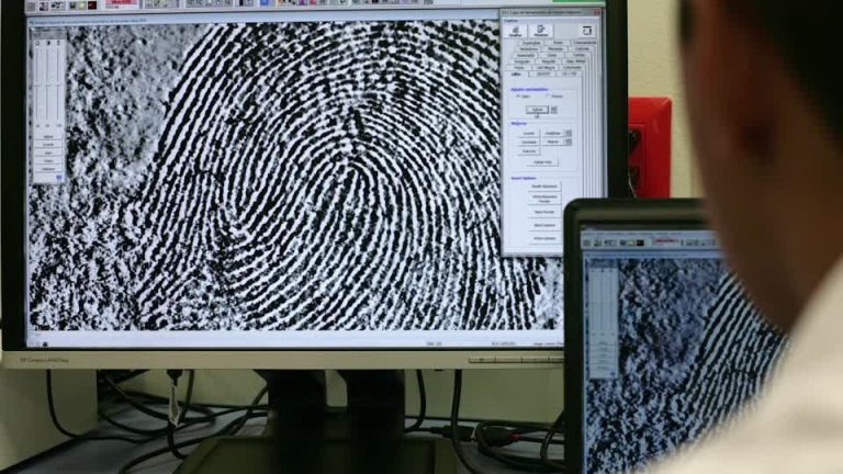 Câncer de mama: teste de impressão digital poderia substituir mamografias | Meio e Saúde Brasil CNN Brasil