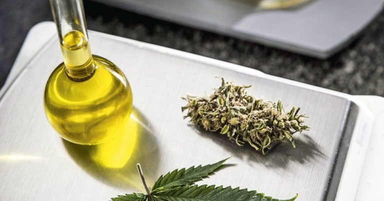 Canabidiol chega ao SUS paulista um ano depois da lei sancionada