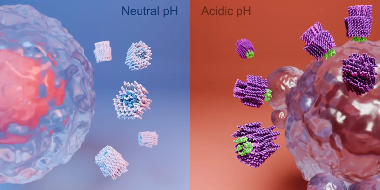 Cientistas desenvolvem nanorrobôs que podem “matar“ células cancerígenas | Meio e Saúde Brasil CNN Brasil