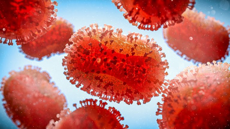 Mpox: o que significa uma emergência de saúde pública global? | Meio e Saúde Brasil CNN Brasil