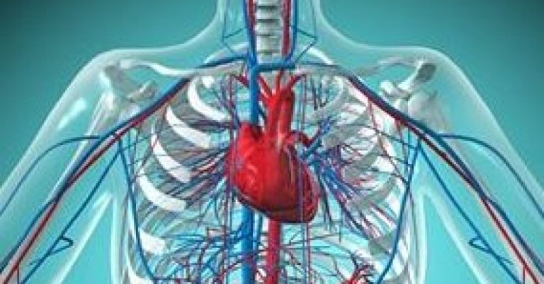 Novo remédio para obesidade reduz em 38% o risco de morte cardiovascular