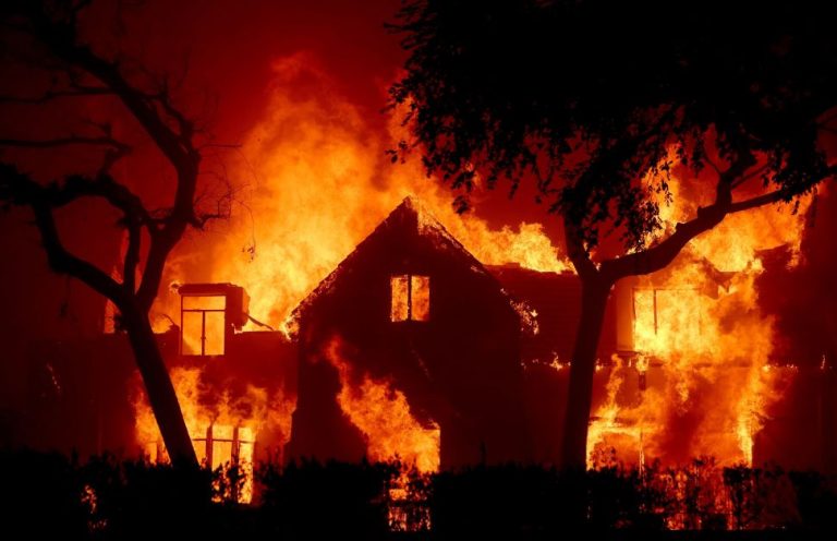 Incêndios florestais trazem riscos à saúde mental, alertam especialistas | Meio e Saúde Brasil